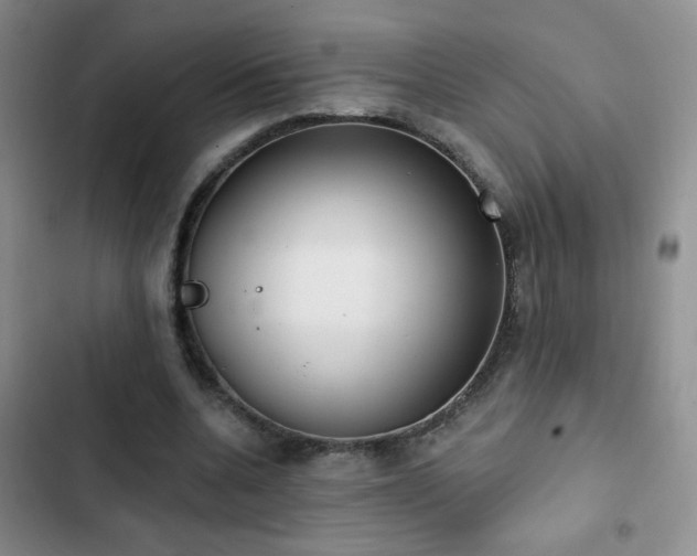 X0000102850536200808181420