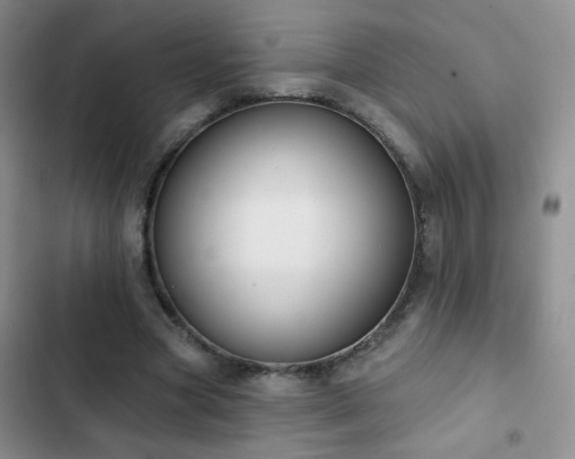 X0000102850537200808181420
