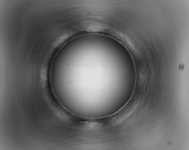 X0000102850539200808181420