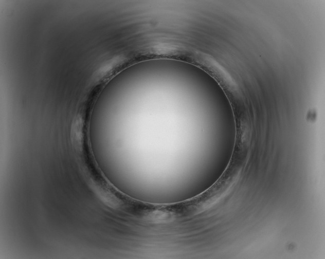 X0000102850542200808181420