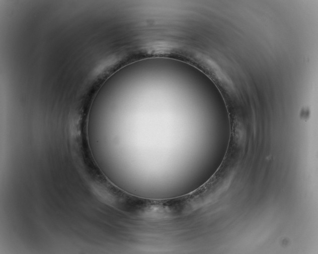 X0000102850543200808181420