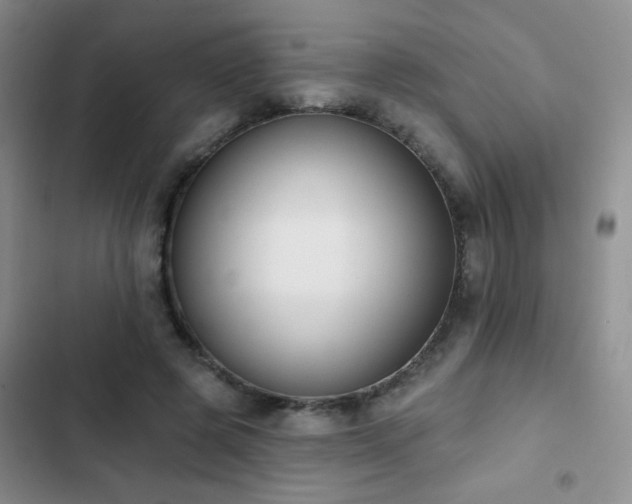 X0000102850545200808181420
