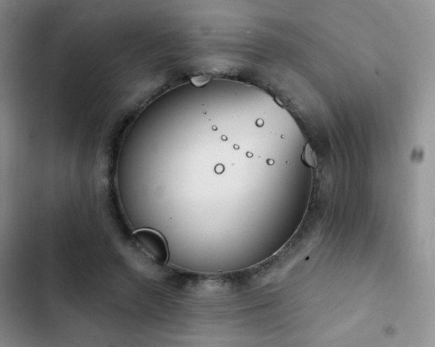 X0000102850546200808181420