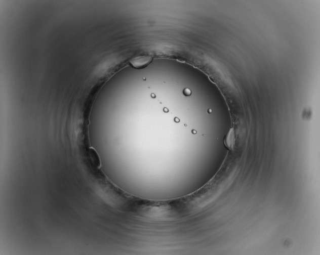 X0000102850548200808181420