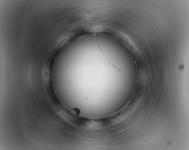 X0000102850549200808181420