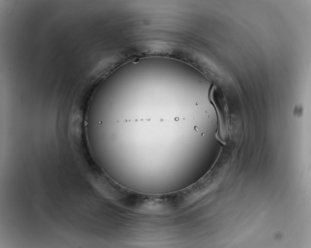 X0000102850550200808181420