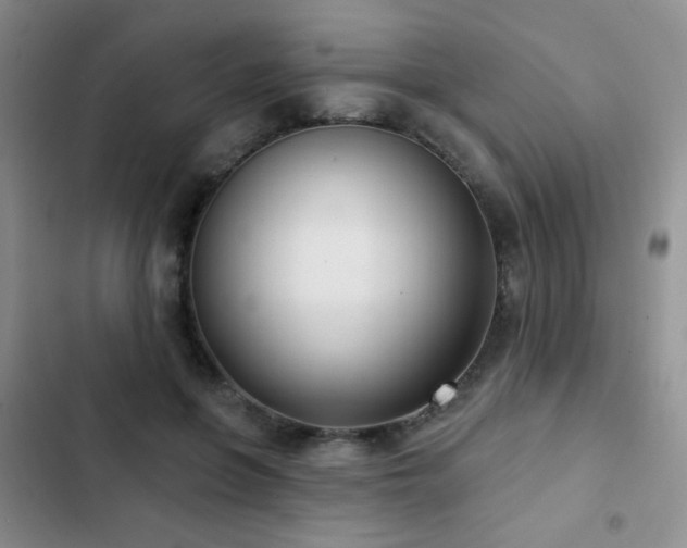 X0000102850551200808181420
