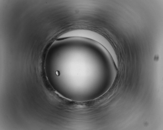 X0000102850552200808181420