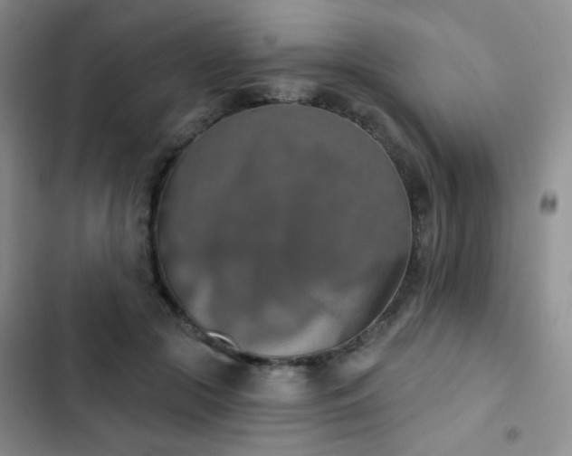 X0000102850553200808181420