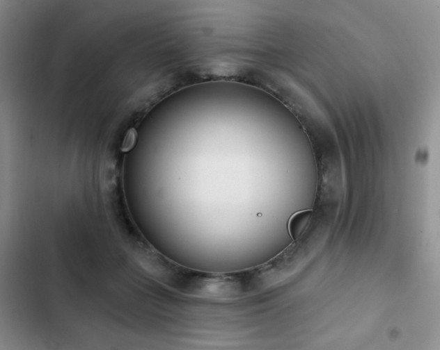 X0000102850555200808181420