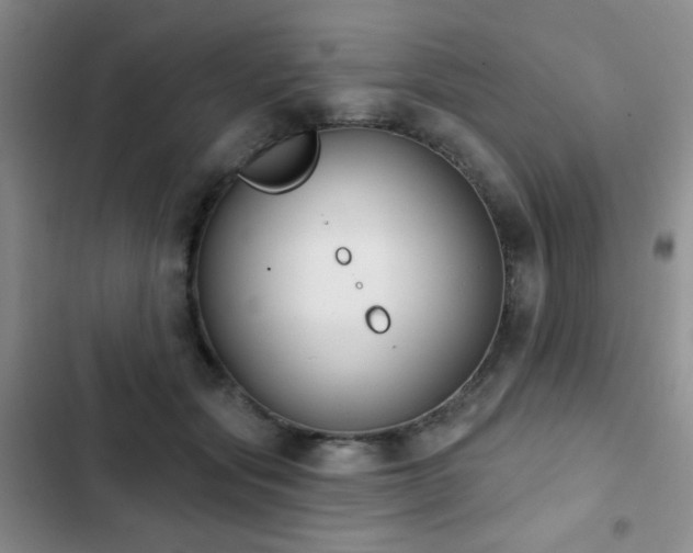 X0000102850557200808181420