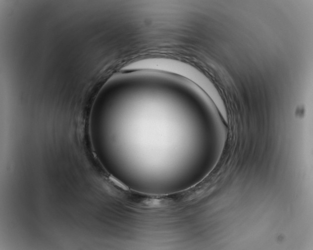 X0000102850558200808181420