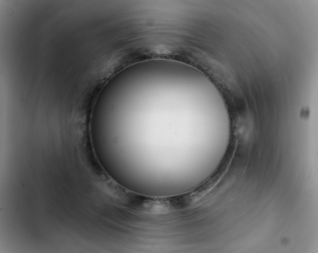 X0000102850559200808181420