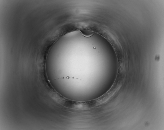 X0000102850561200808181420