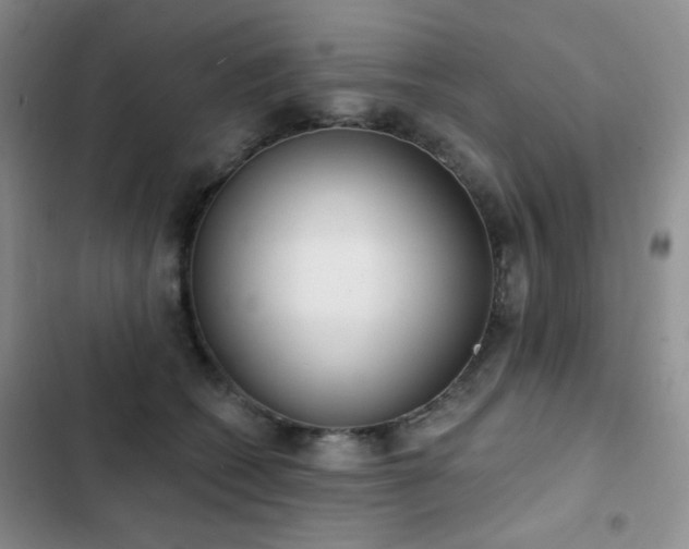 X0000102850562200808181420