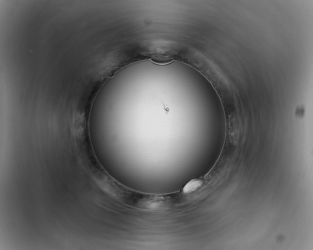 X0000102850563200808181420