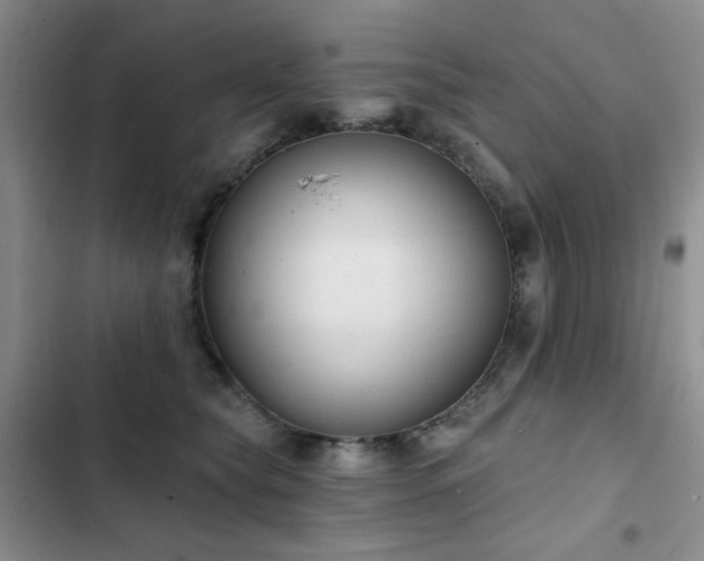 X0000102850565200808181420