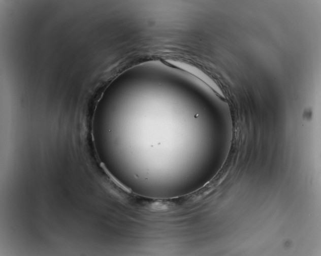 X0000102850566200808181420
