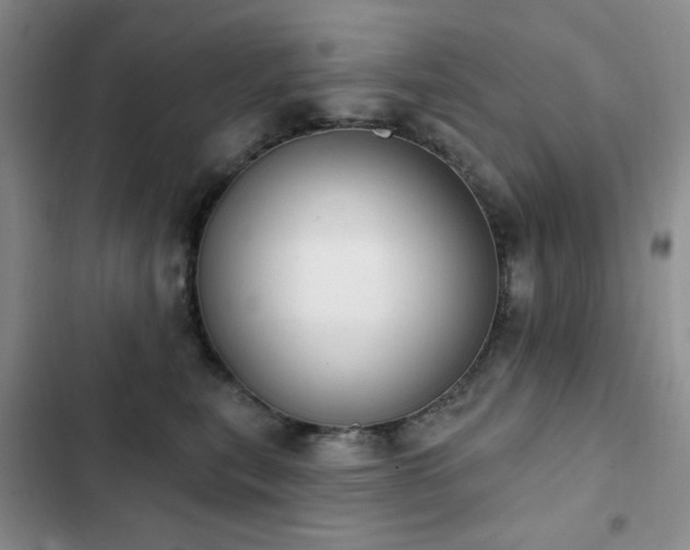 X0000102850567200808181420