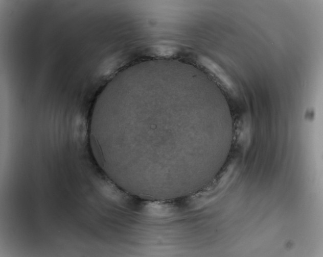 X0000102850568200808181420