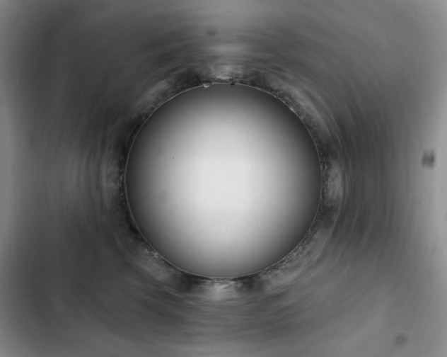 X0000102850569200808181420