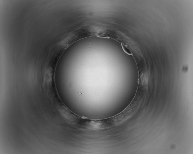 X0000102850570200808181420