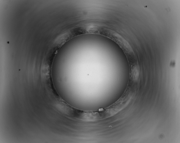 X0000102850571200808181420
