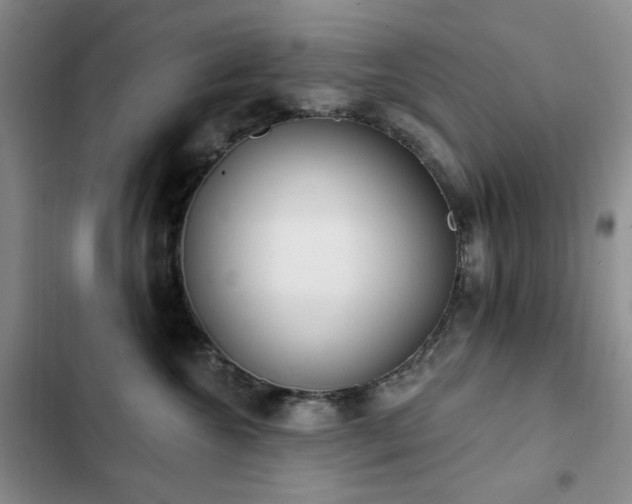 X0000102850572200808181420