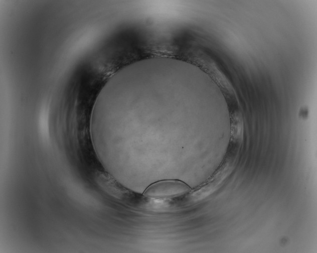 X0000102850573200808181420