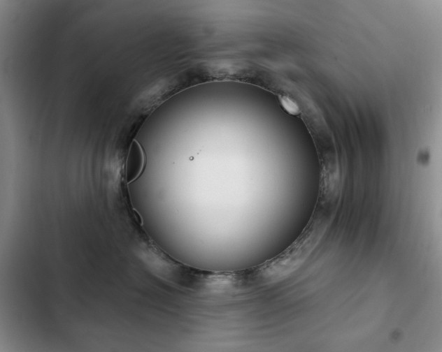 X0000102850574200808181420