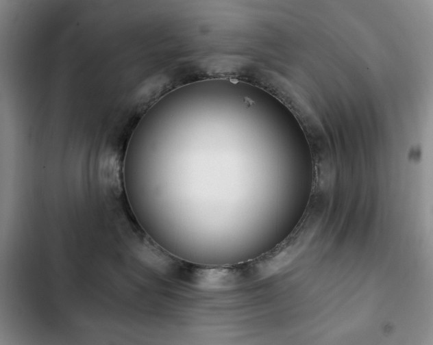 X0000102850575200808181420