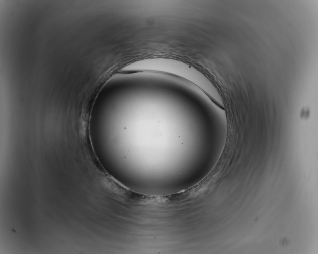 X0000102850576200808181420
