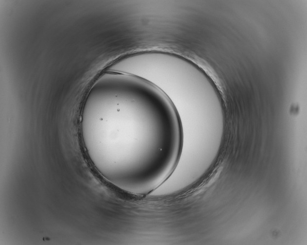X0000102850577200808181420