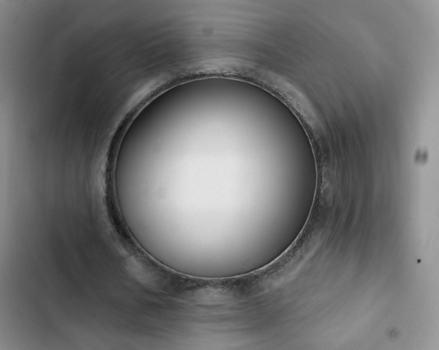X0000102850578200808181419