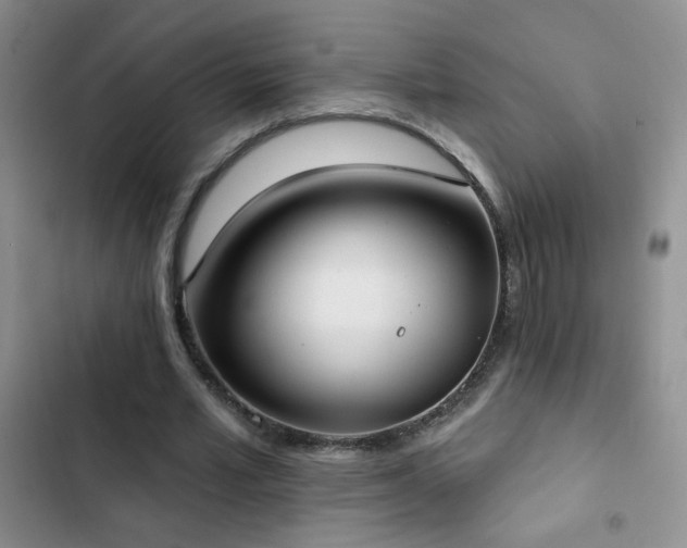 X0000102850581200808181419