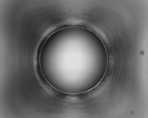 X0000102850582200808181419
