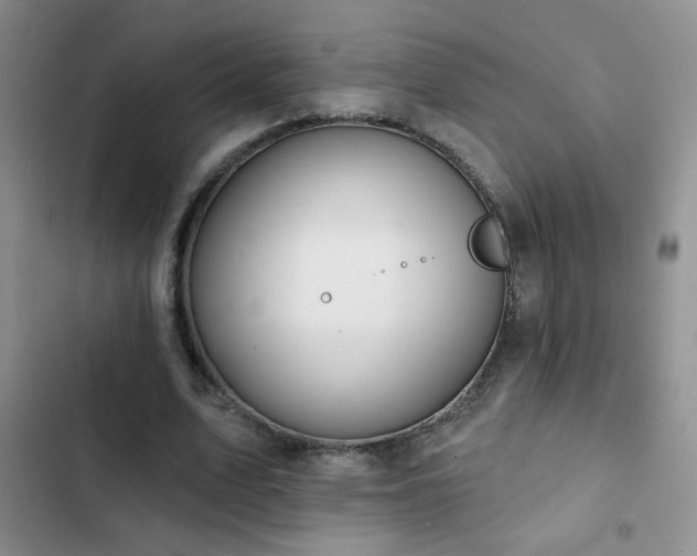 X0000102850583200808181419