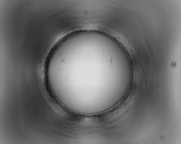 X0000102850584200808181419