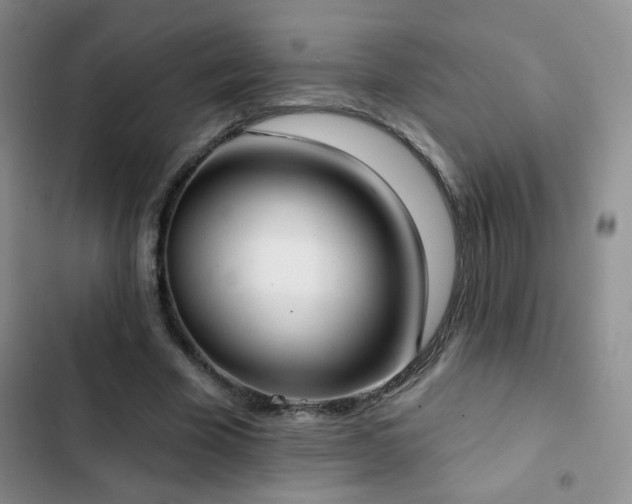 X0000102850585200808181419