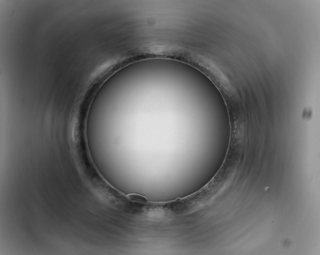 X0000102850587200808181419