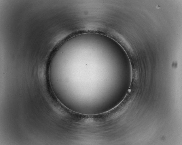 X0000102850588200808181419