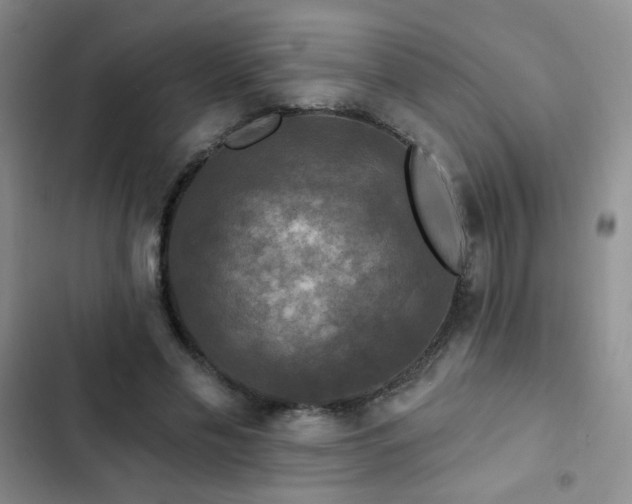 X0000102850589200808181419