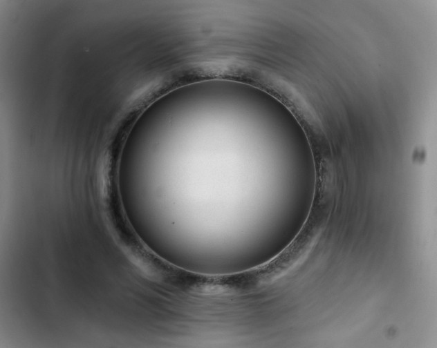 X0000102850590200808181419