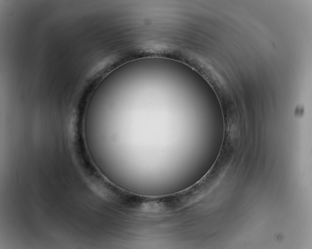 X0000102850591200808181419