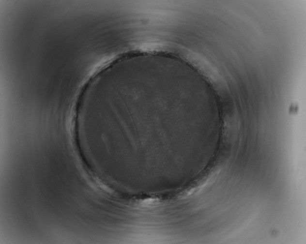 X0000102850592200808181419