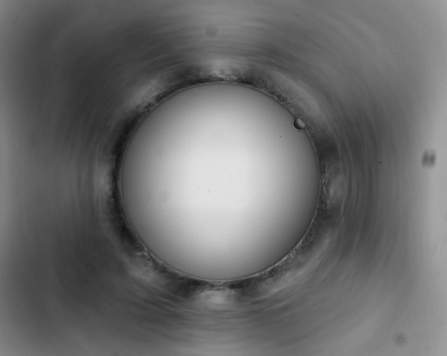 X0000102850595200808181419