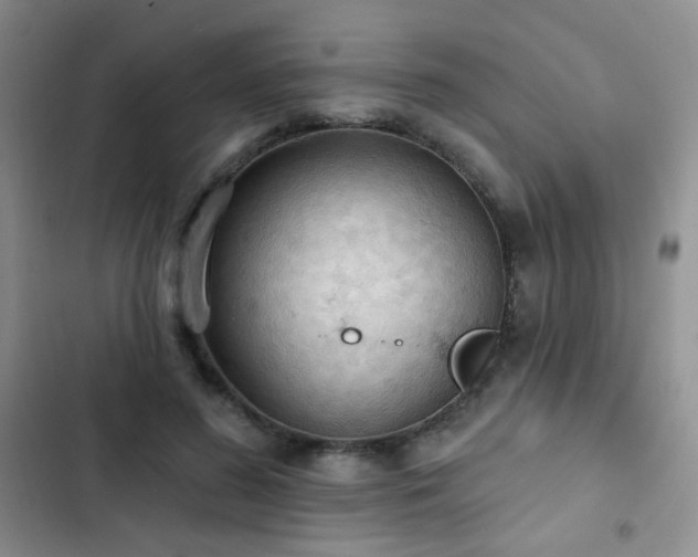 X0000102850596200808181419