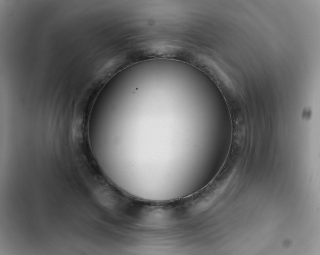 X0000102850597200808181419