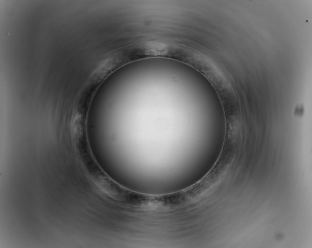 X0000102850598200808181419