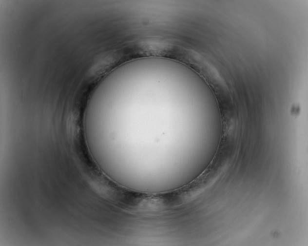 X0000102850599200808181419
